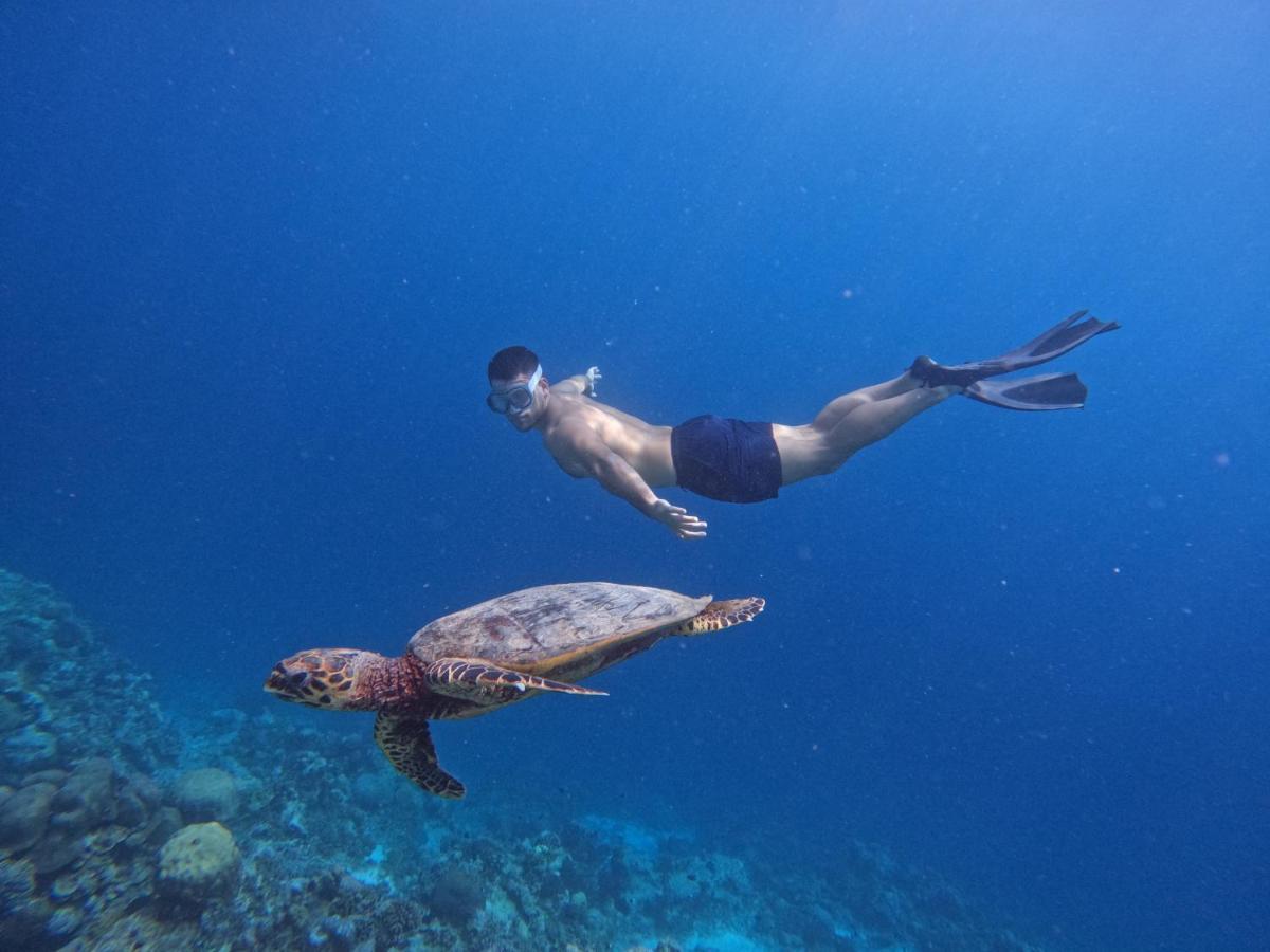 Blue Water Thoddoo Inn المظهر الخارجي الصورة