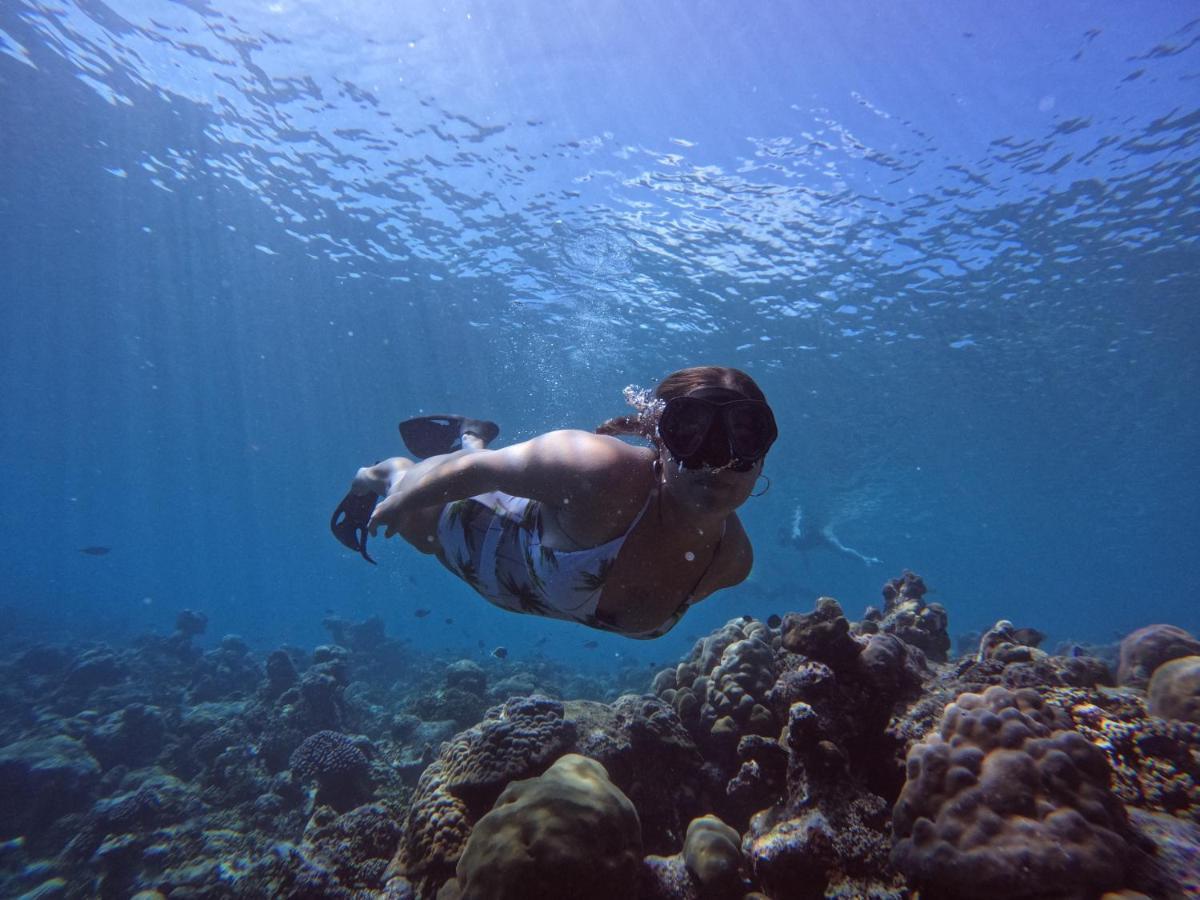 Blue Water Thoddoo Inn المظهر الخارجي الصورة