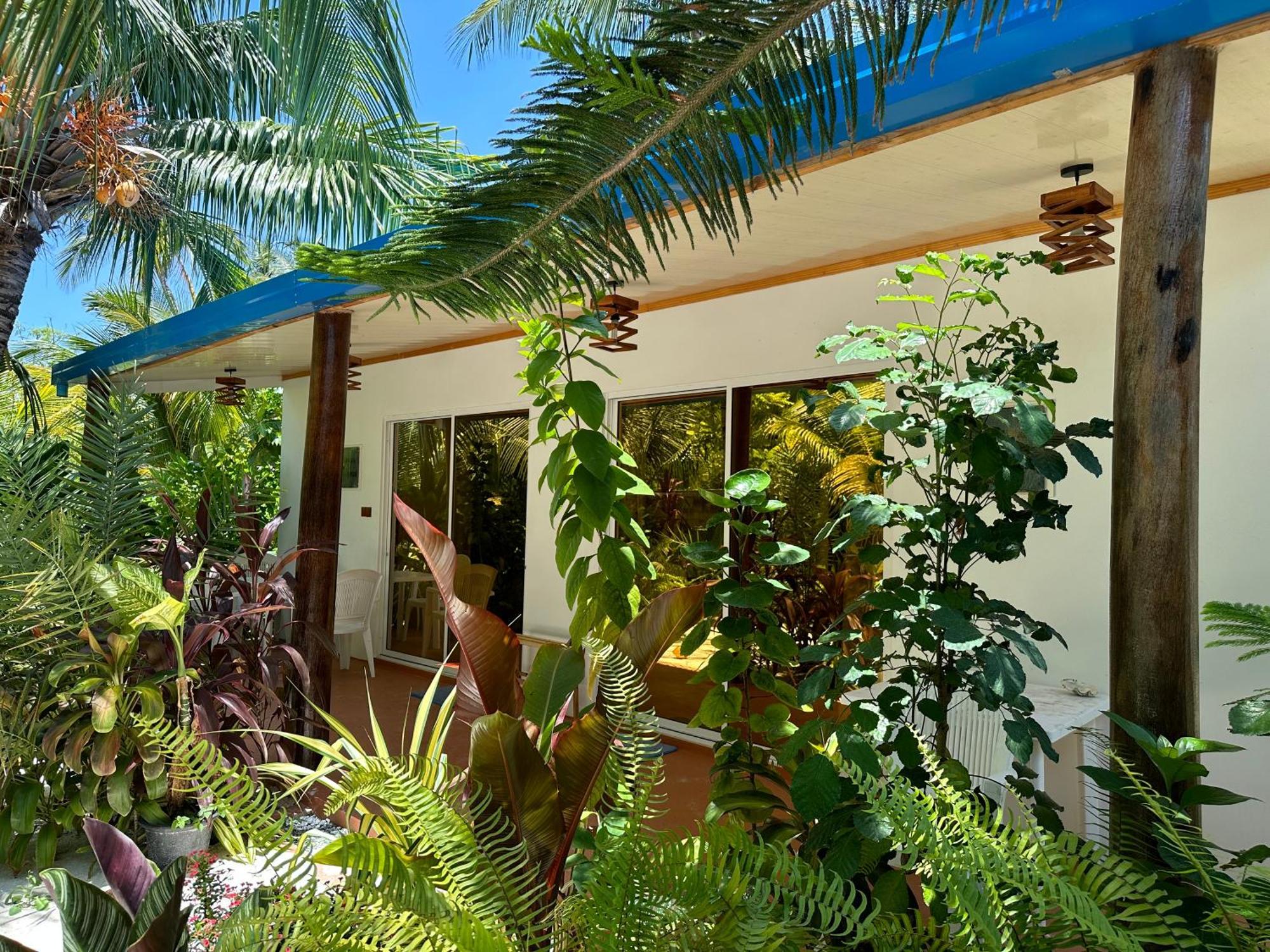 Blue Water Thoddoo Inn المظهر الخارجي الصورة