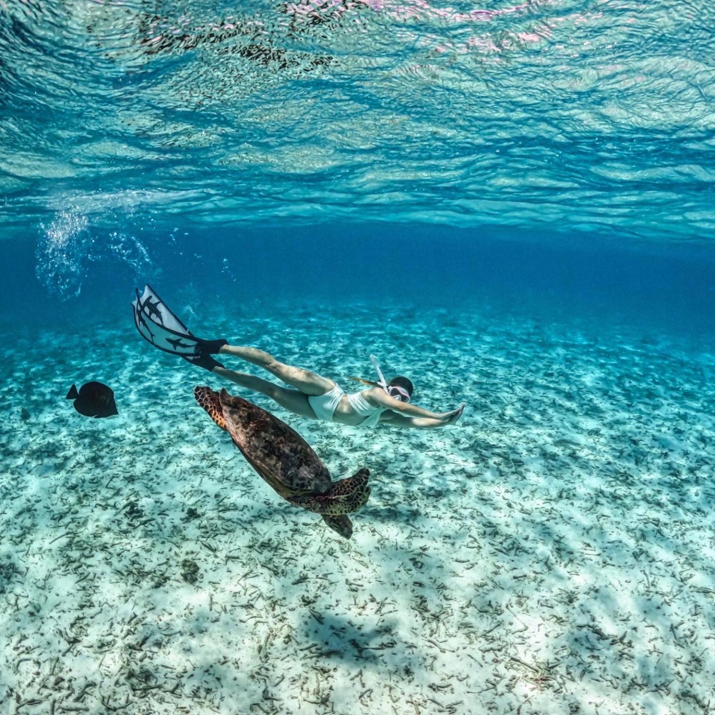 Blue Water Thoddoo Inn المظهر الخارجي الصورة