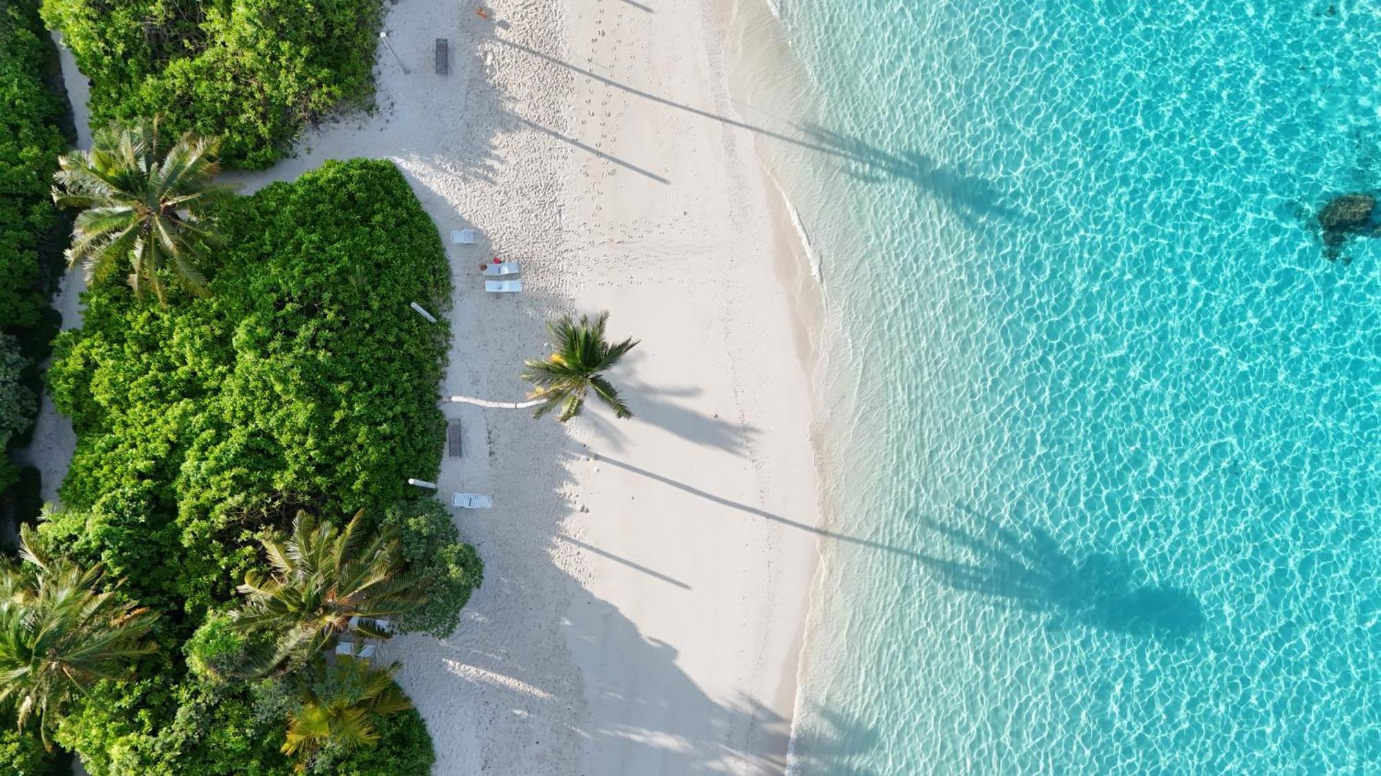 Blue Water Thoddoo Inn المظهر الخارجي الصورة