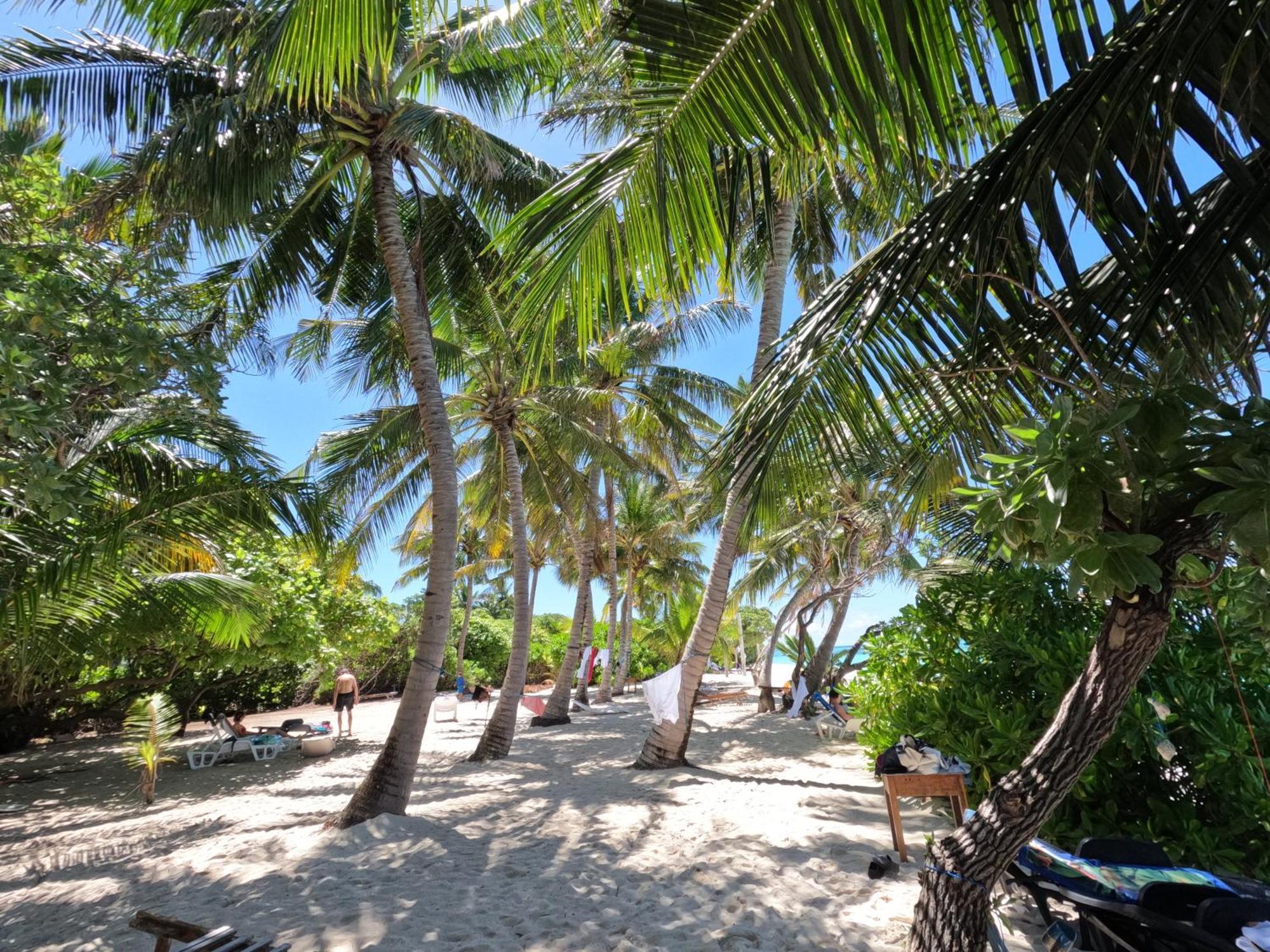 Blue Water Thoddoo Inn الغرفة الصورة
