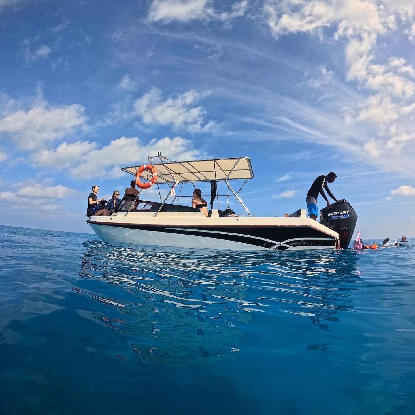 Blue Water Thoddoo Inn المظهر الخارجي الصورة