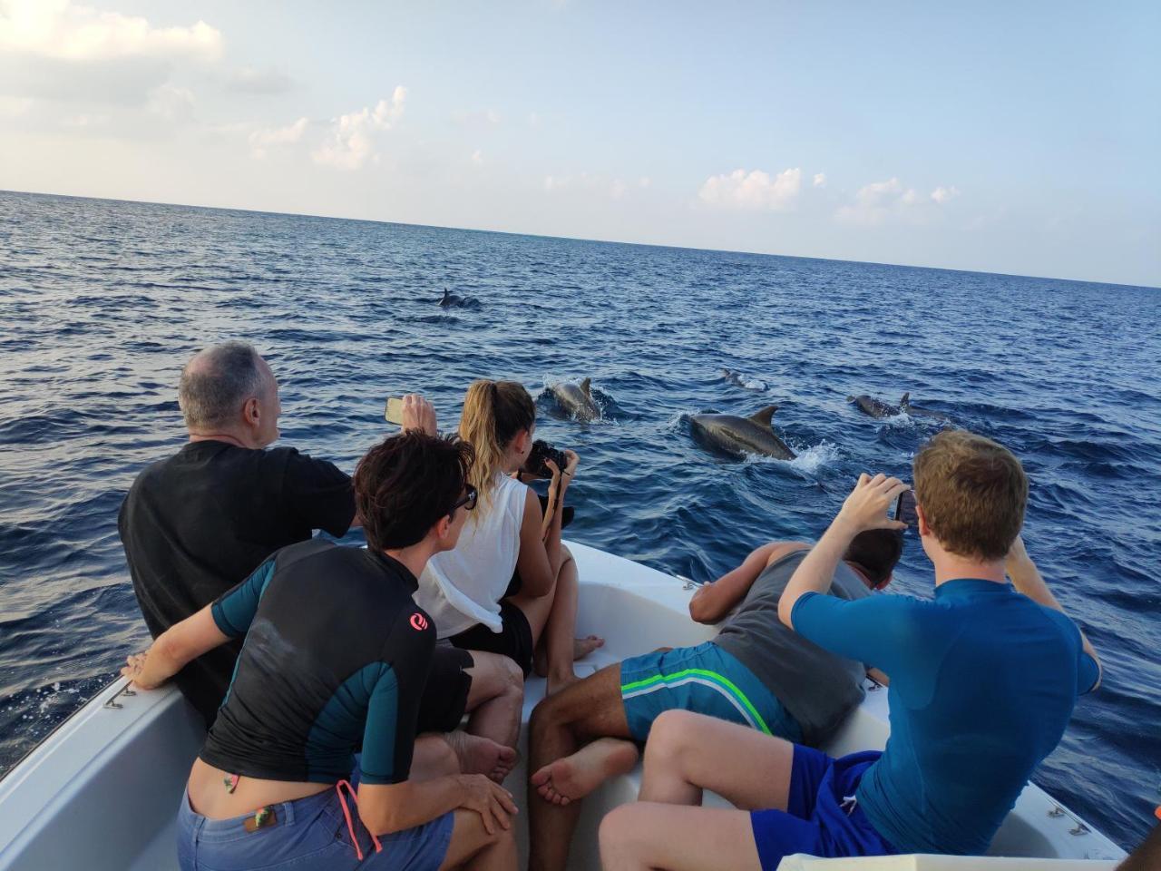 Blue Water Thoddoo Inn المظهر الخارجي الصورة